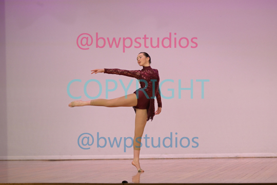 Contemporary Pic at eisteddfod.png