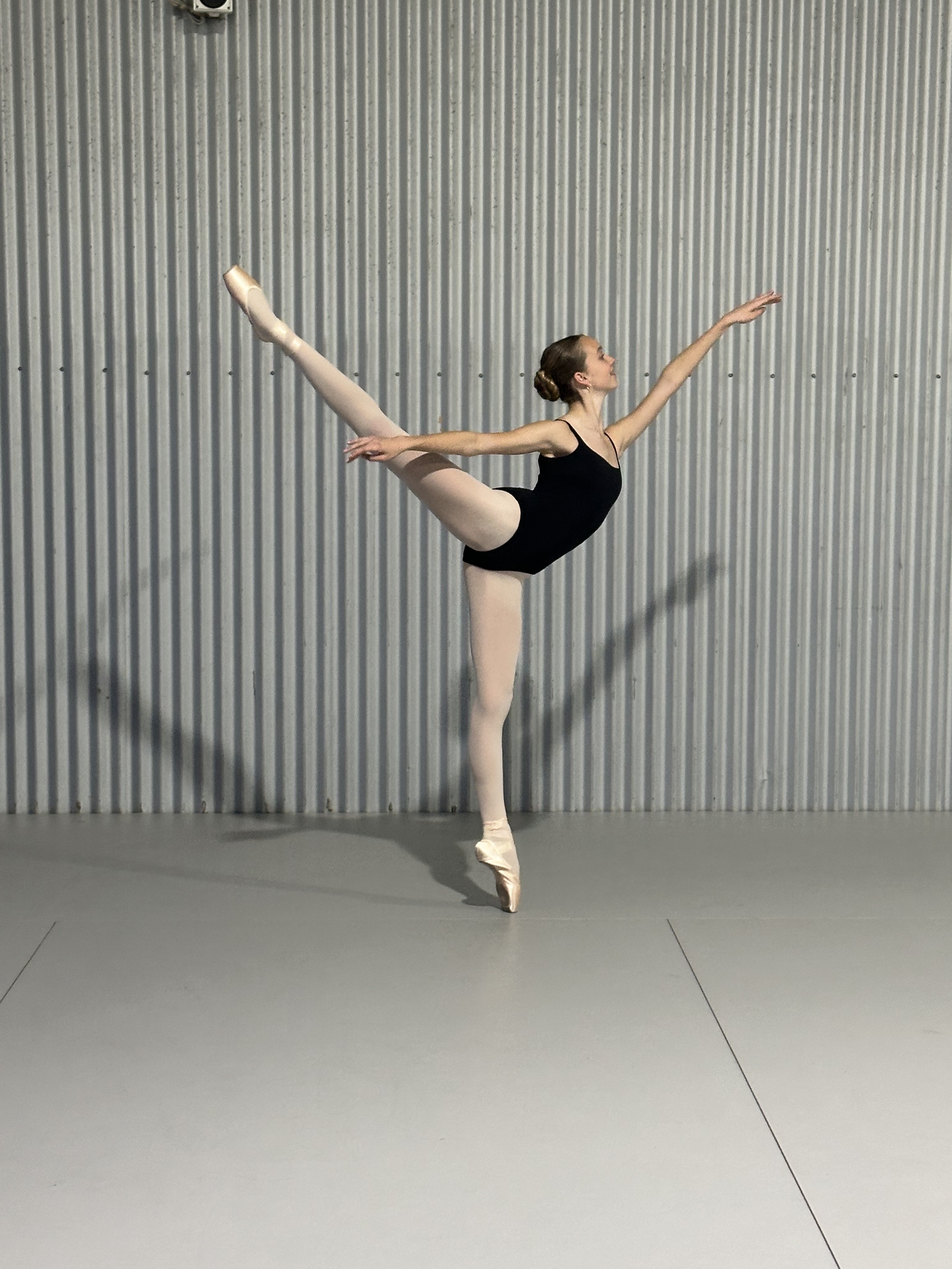 Mac Arabesque en pointe.jpg