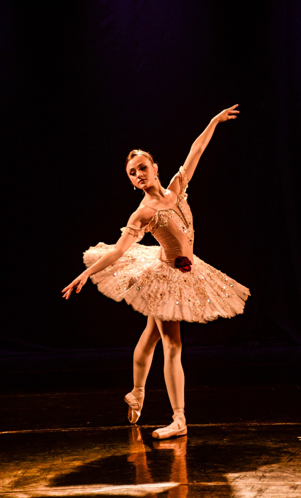 Paquita Etoile Variation(3).JPG
