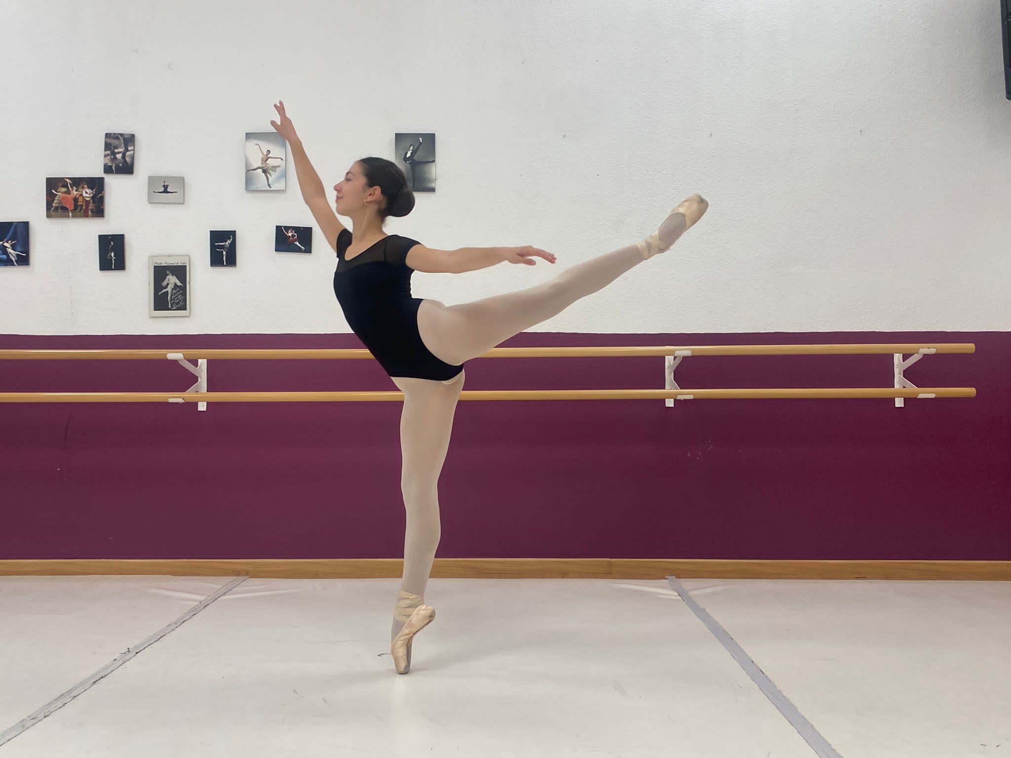 ARABESQUE YAGP.jpg