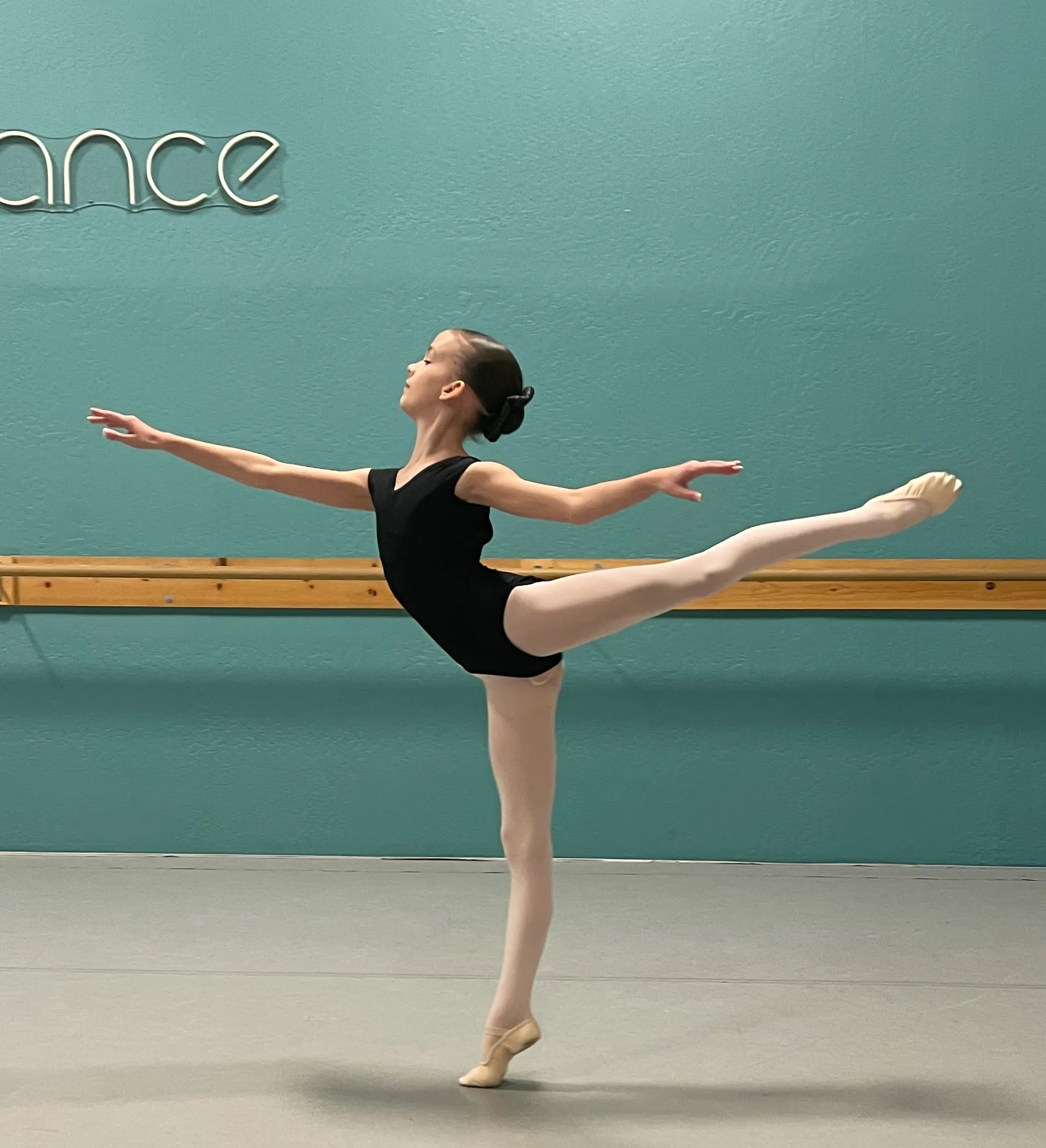 IMG_2156.jpeg - copie.jpg