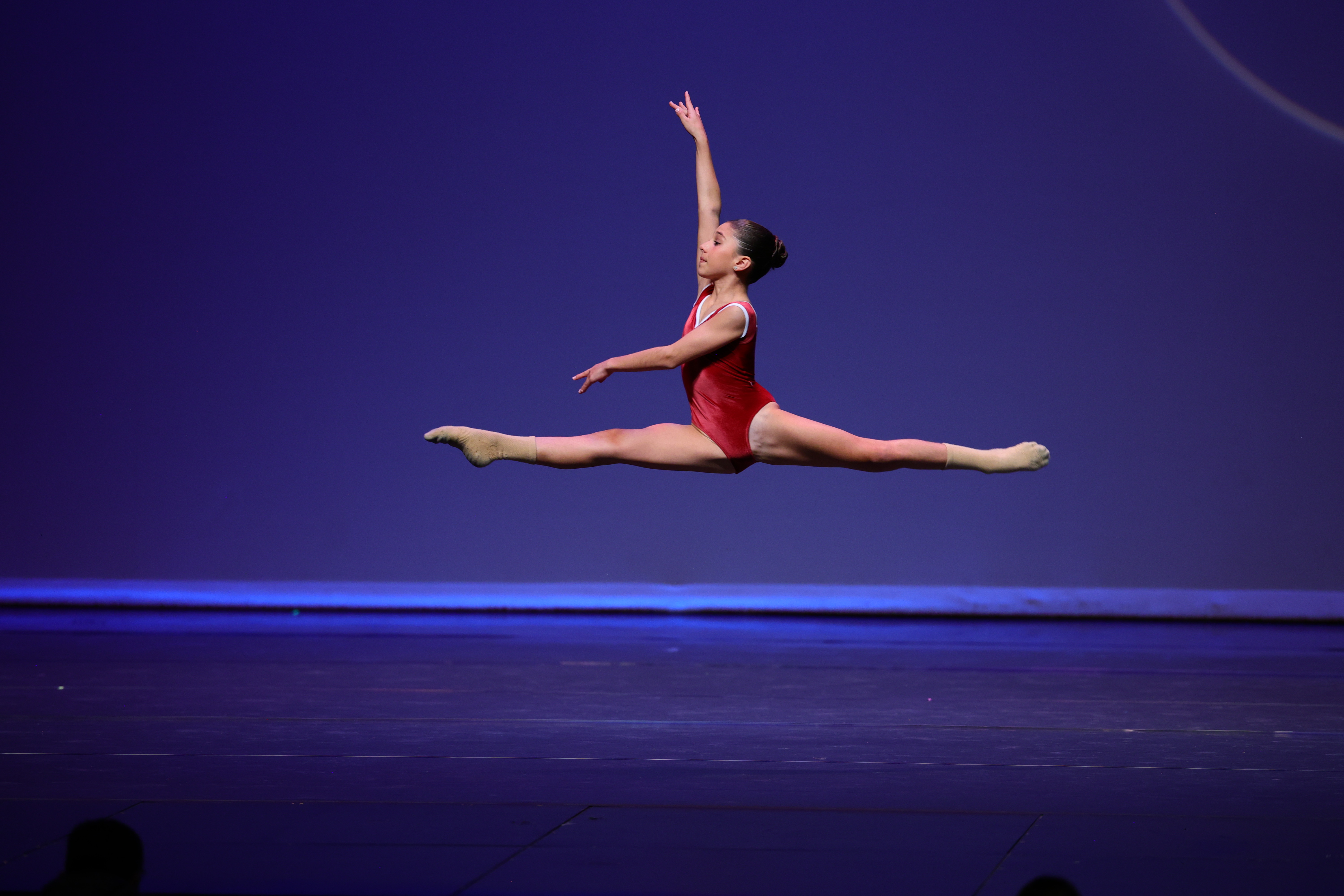 026ElisaGamboaPiecesOfWoodCont3671 (1).JPG