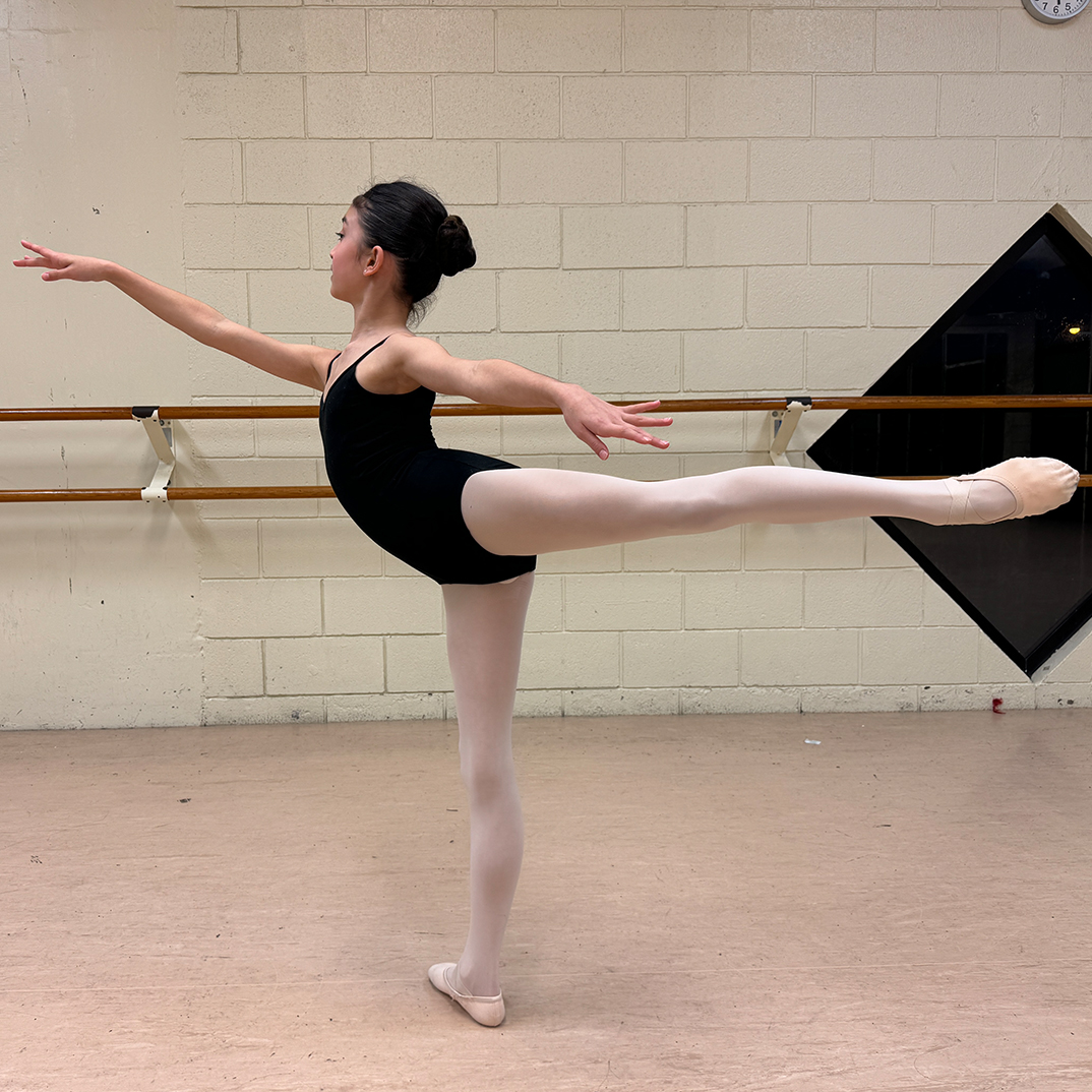 SienaAppelboumArabesque.jpg