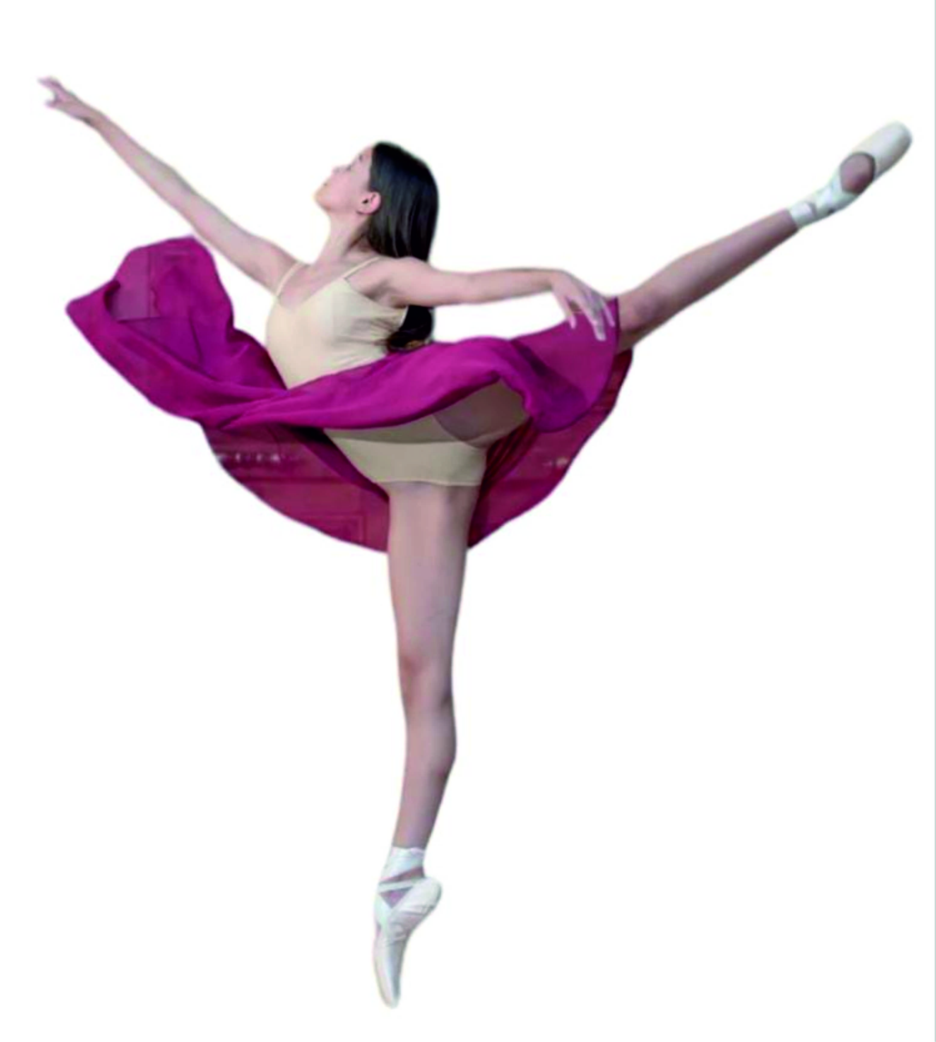 perfil BALLEE arabesque.jpg