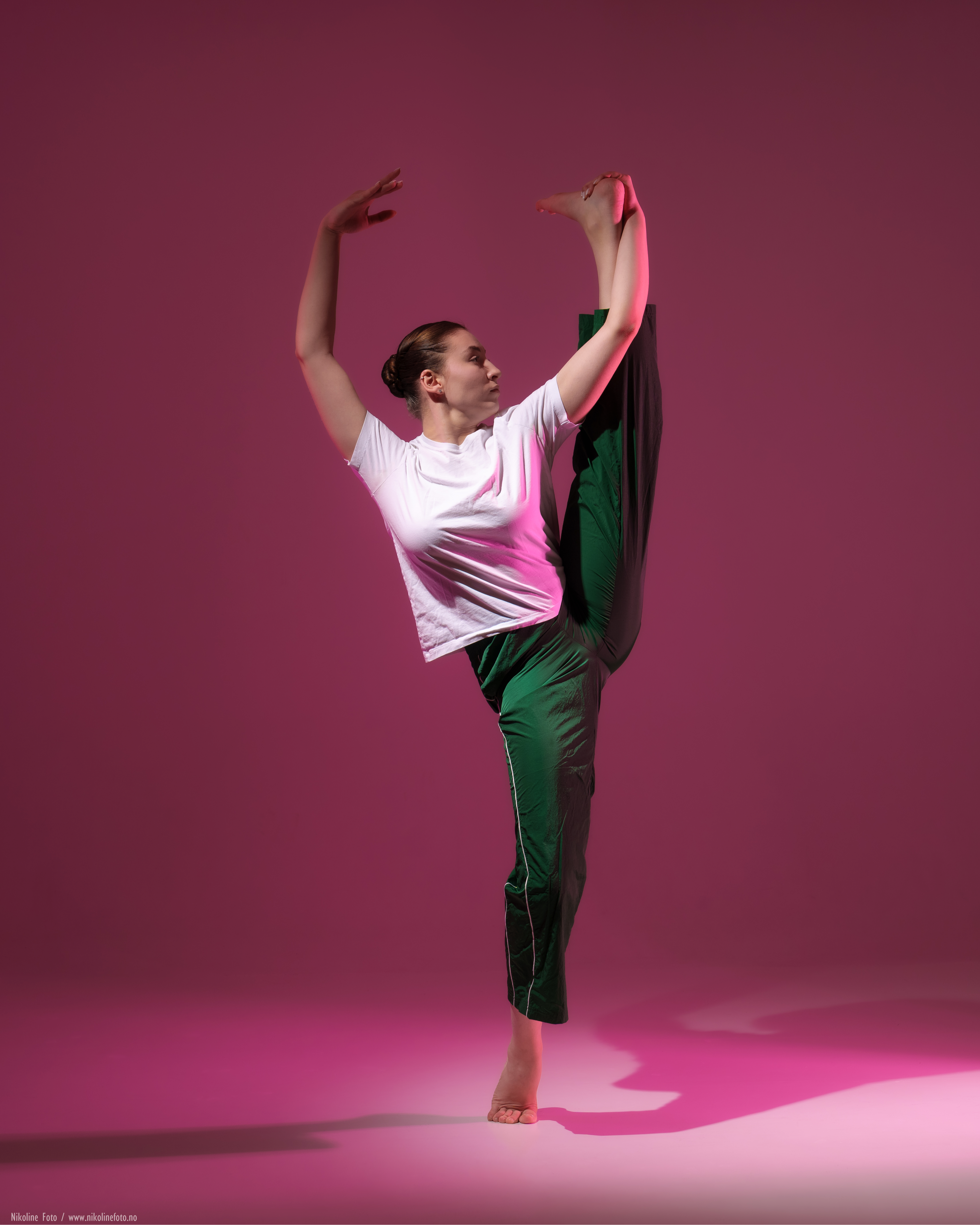 Anastasiia Malynovska_Des24-18.jpg