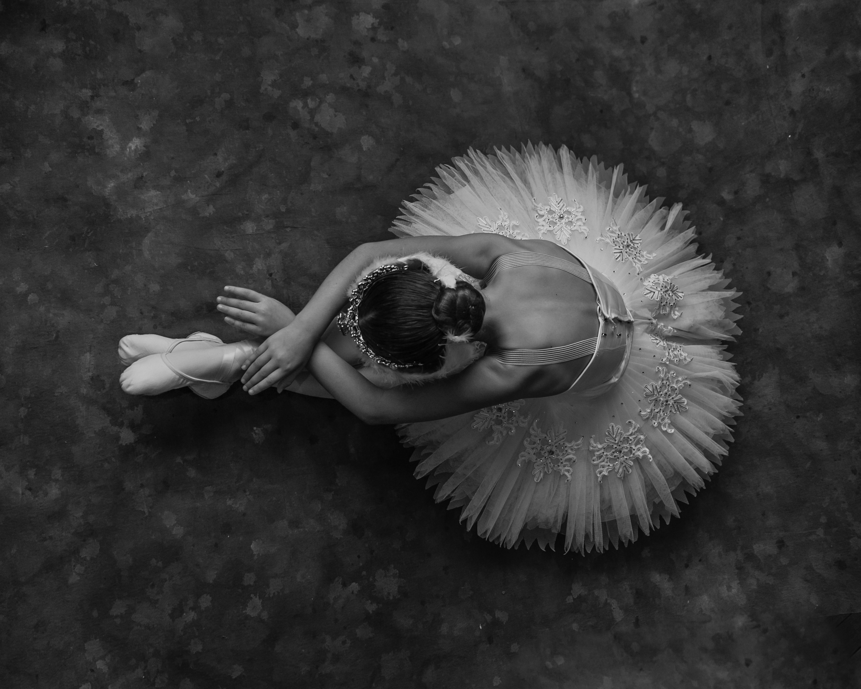 753A9969-5 8x10 reedited.jpg