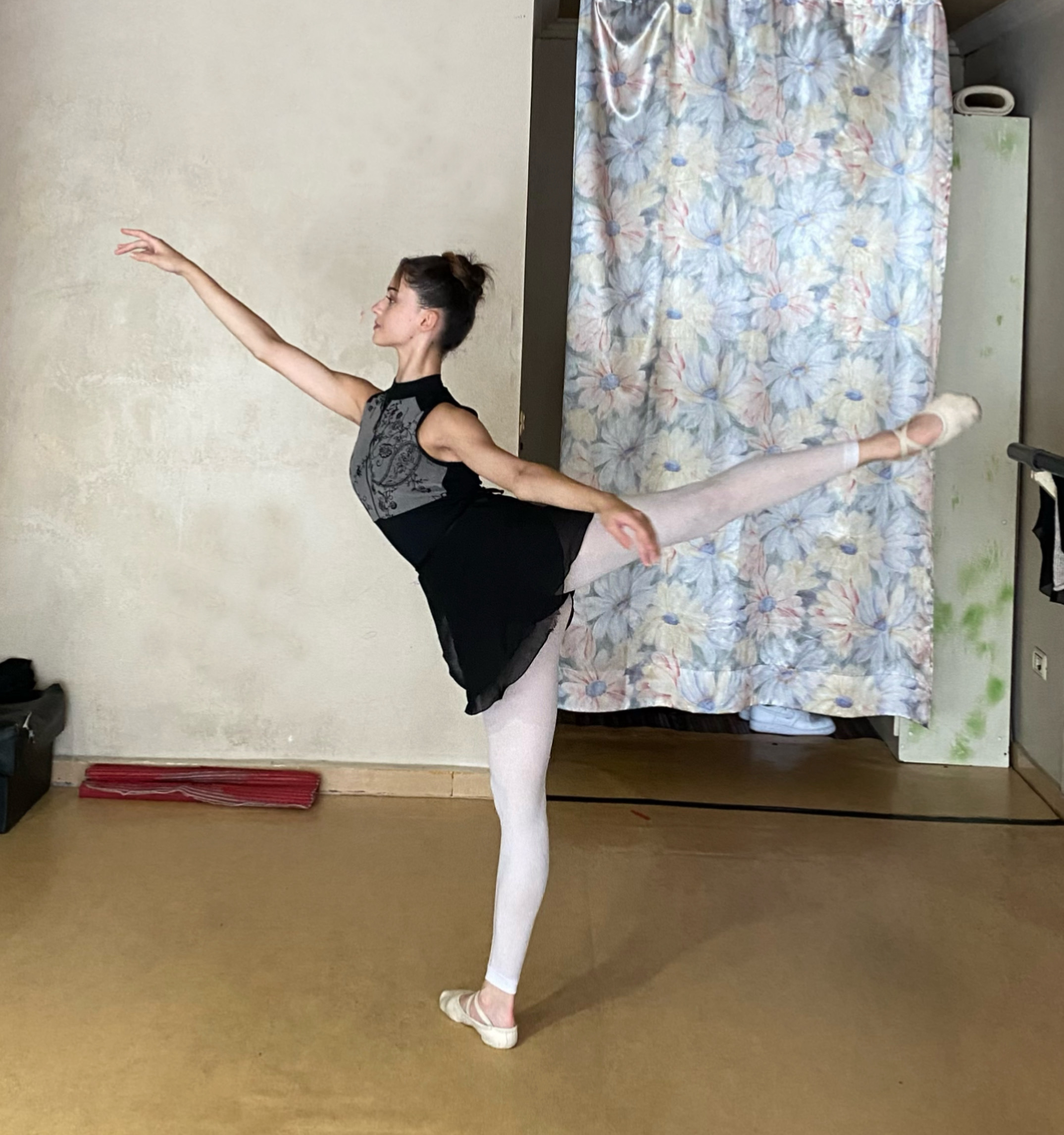 HIDA Floresida - Provide an arabesque photo.jpeg