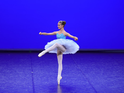 204-Viola Imeri-Three Odalisque Le Corsaire_60807.JPG.jpg