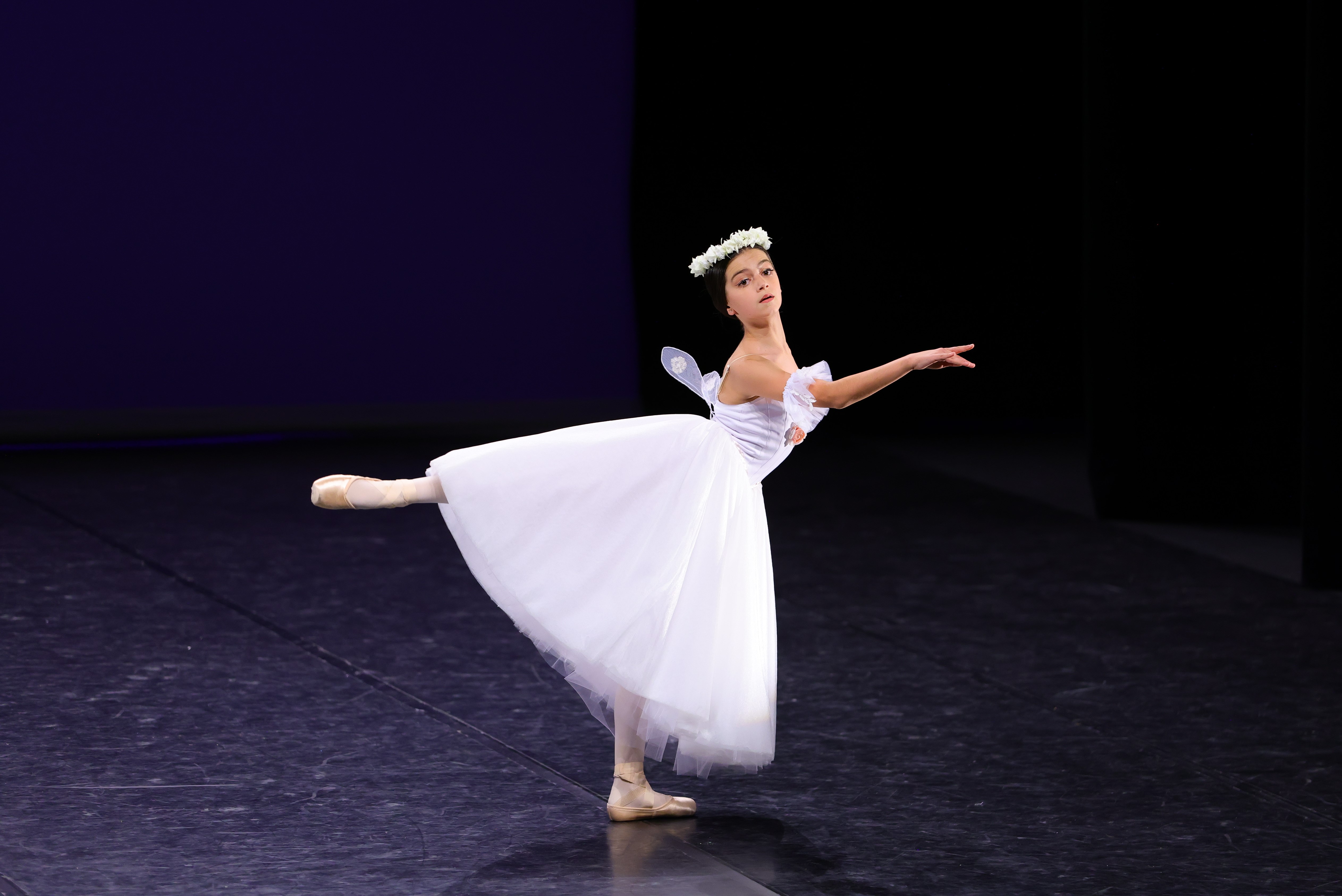 Sylphide 18422.JPG