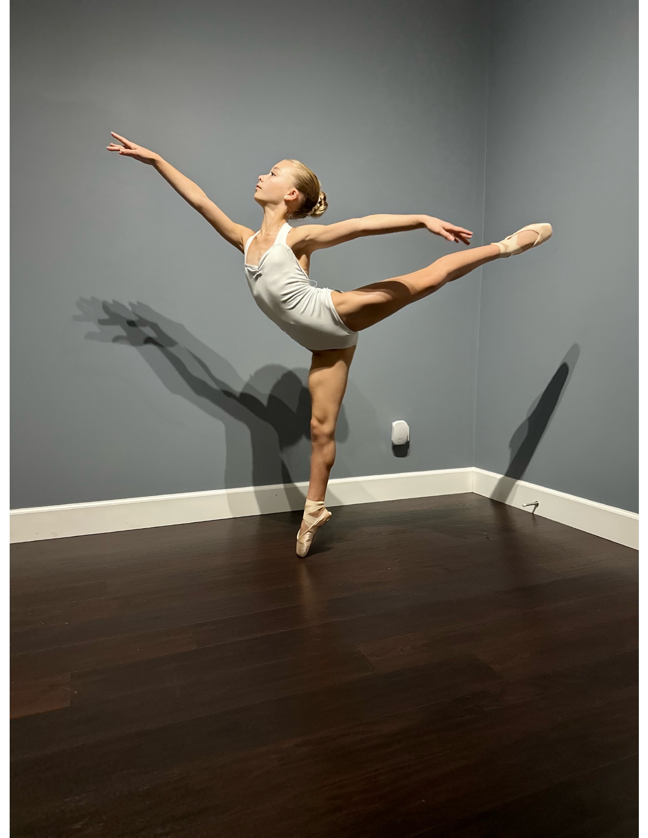 LOMNES Colette - Provide an arabesque photo_page-0001.jpg