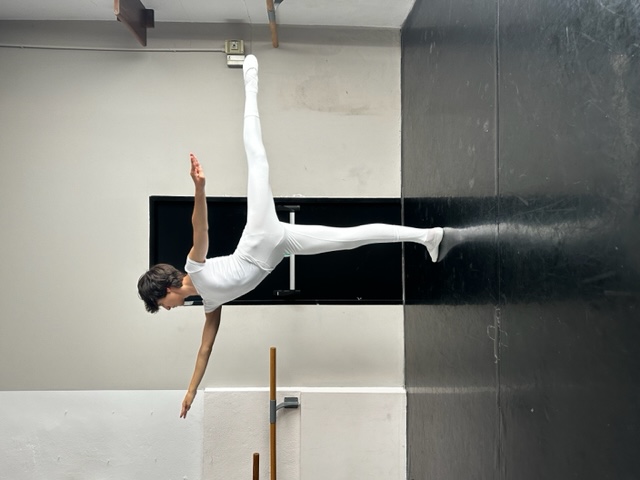 Adriano Loggia arabesque.jpg.jpg