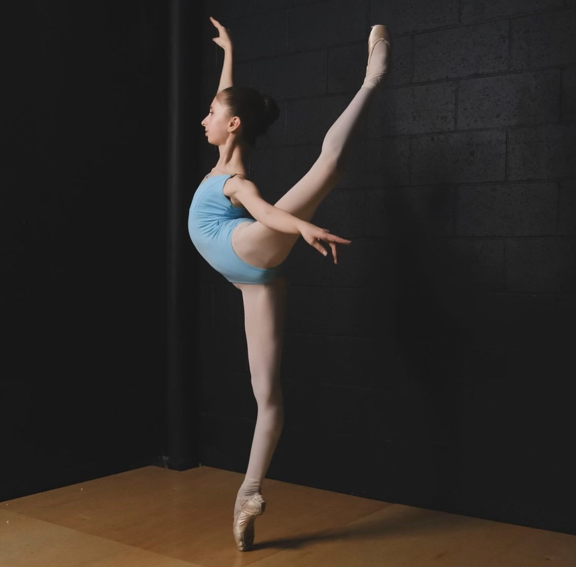 Luna Icon Original.jpg