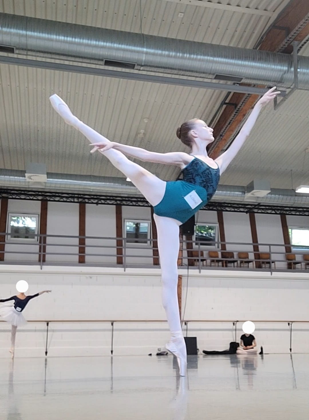 Valča Daniela bilde.jpg