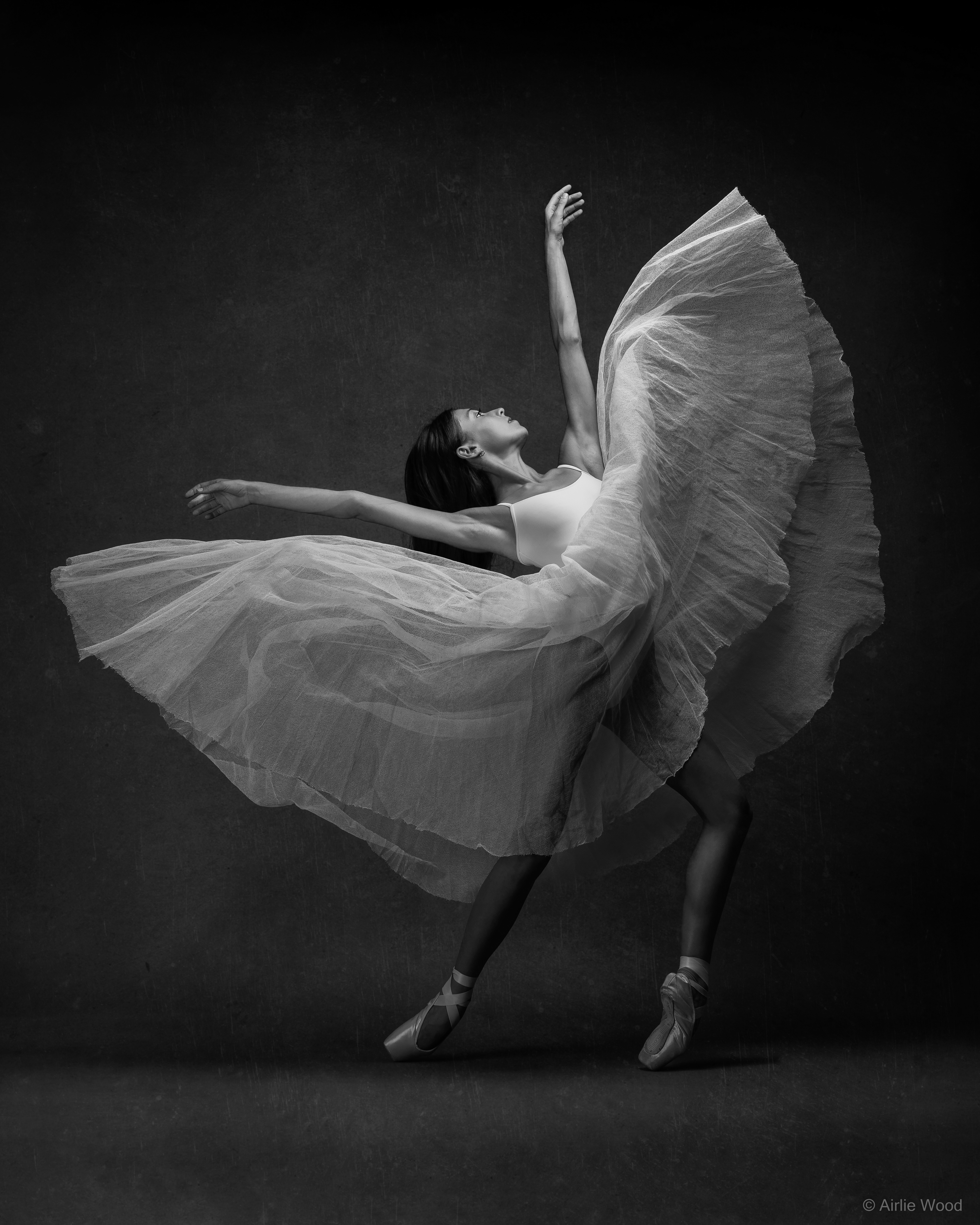 0G6A9951-Edit 2-2.jpg