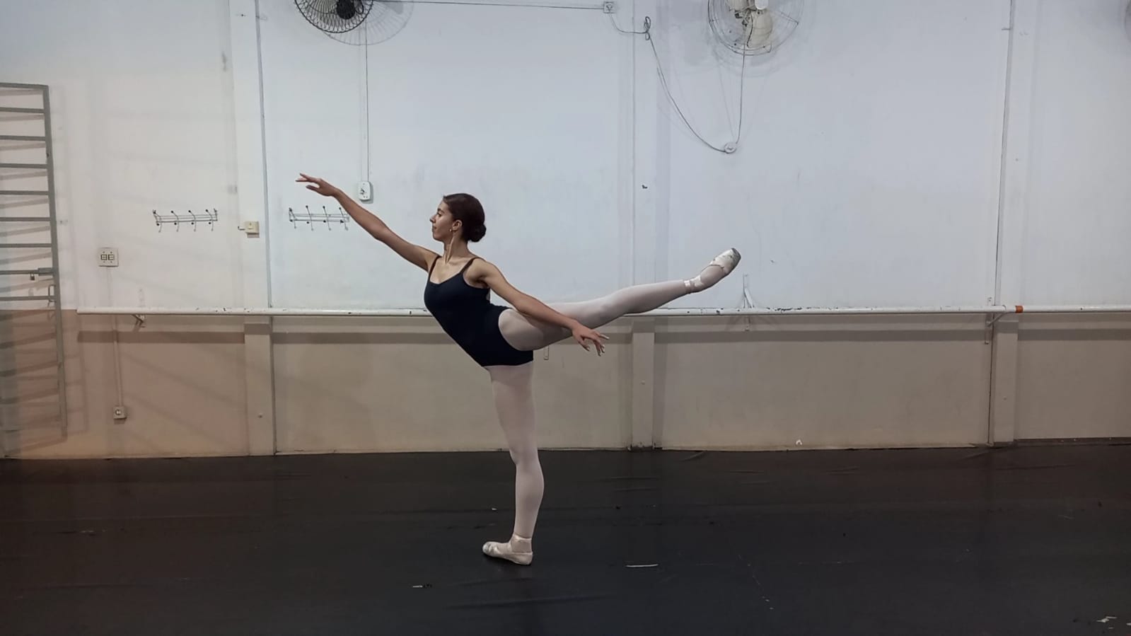 Maria Luiza Sodré - ARABESQUE.jpeg