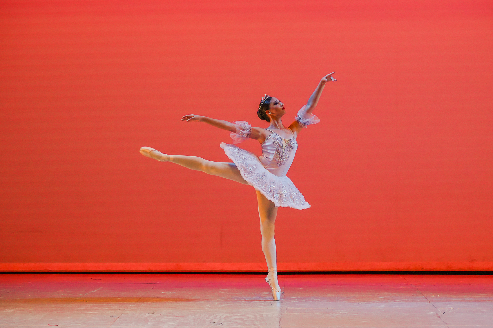 #054 Variación Hada Lila de Bella Durmiente_0001.jpeg