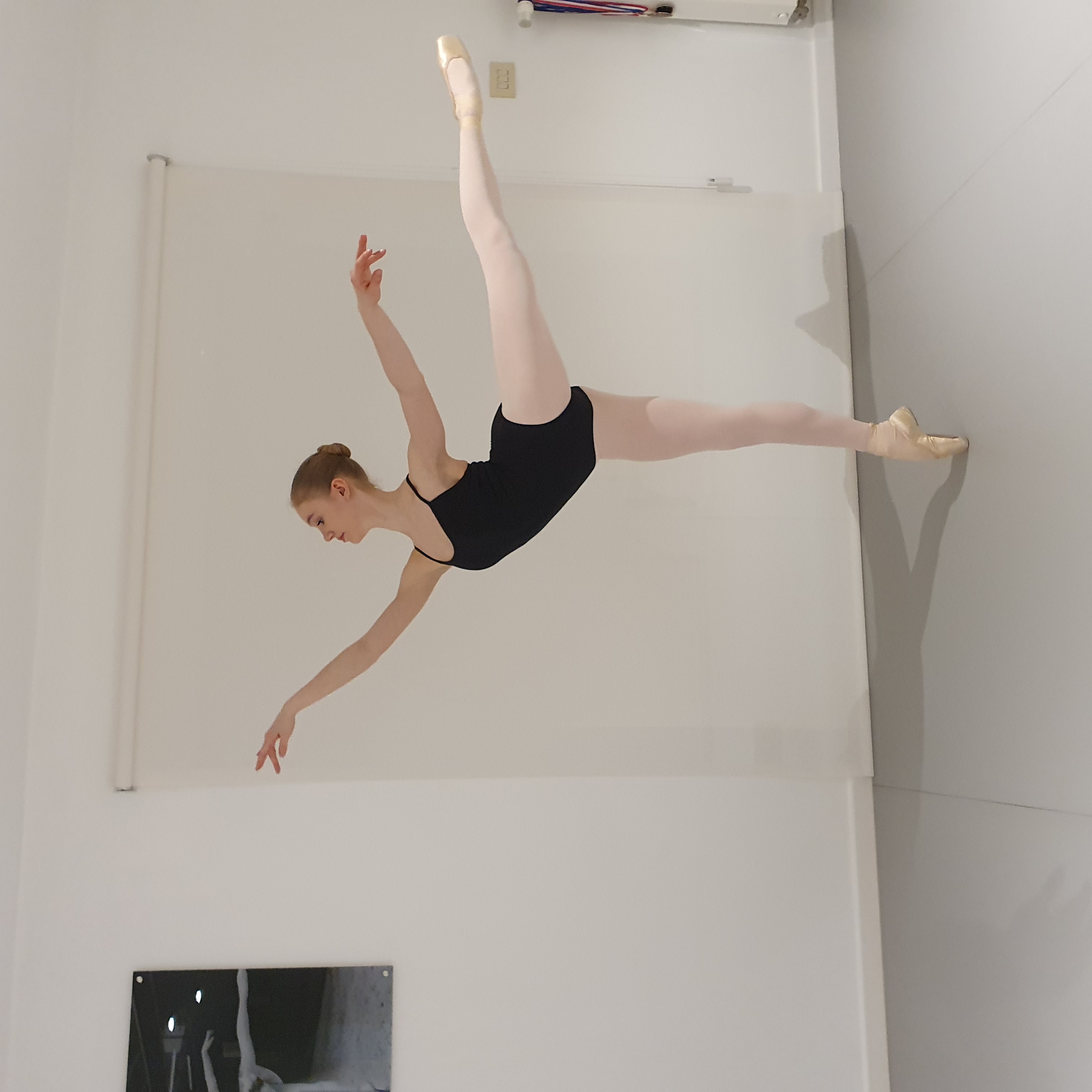 Arabesque pointes.jpg