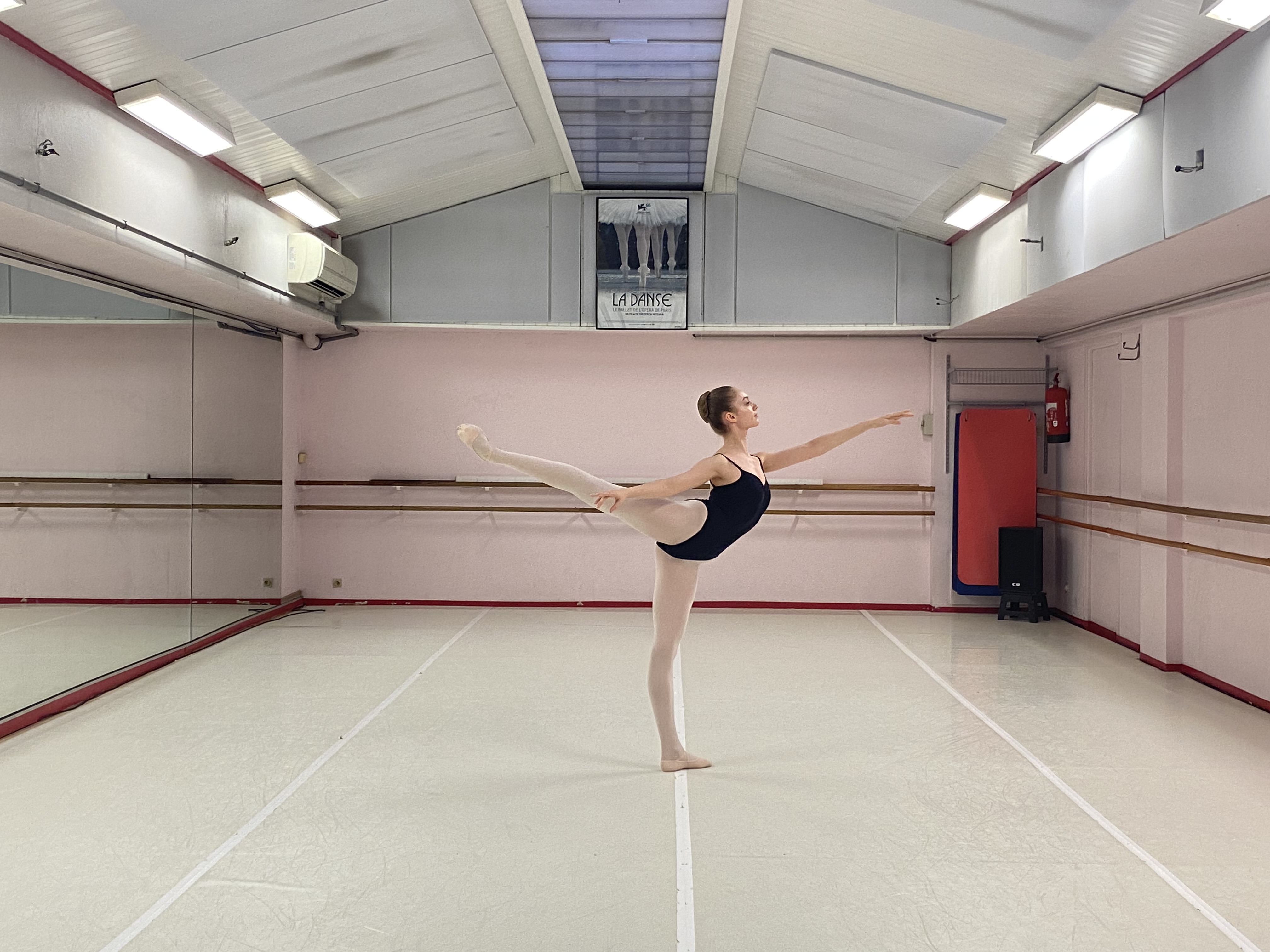 Audition DAW Marie Ribaudo Arabesque.jpg