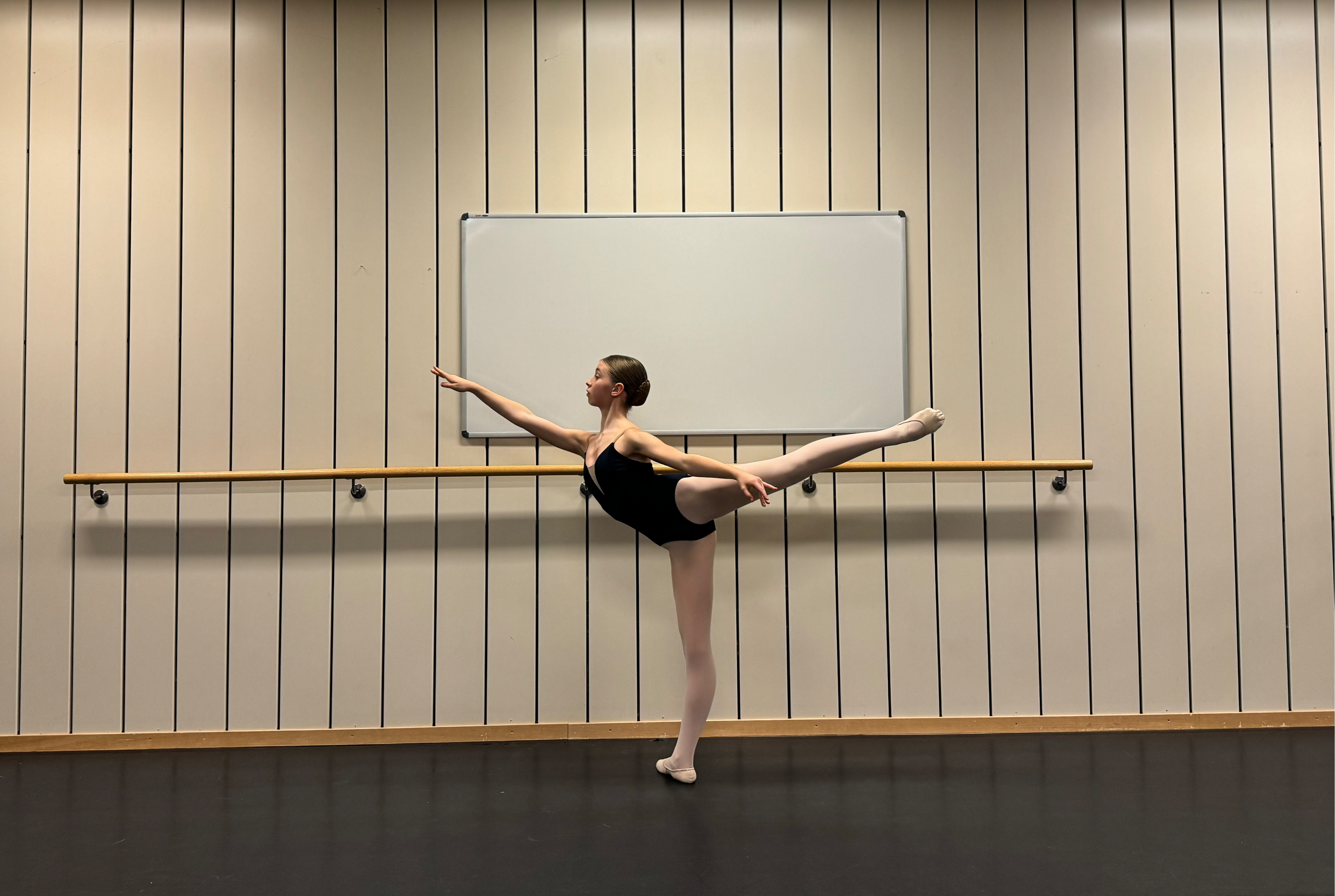 HELENE FRANEL 01.04.09 ARABESQUE.jpeg