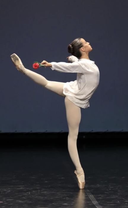 Screenshot 2023-11-24 at 10.13.42.png