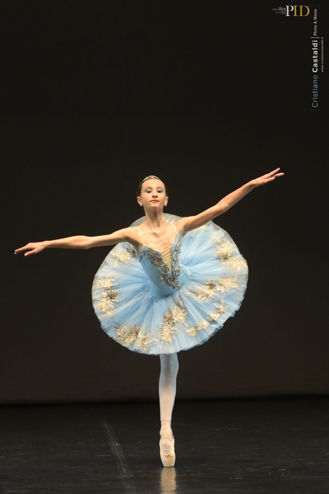 Blue Birds (PID 2023).jpeg