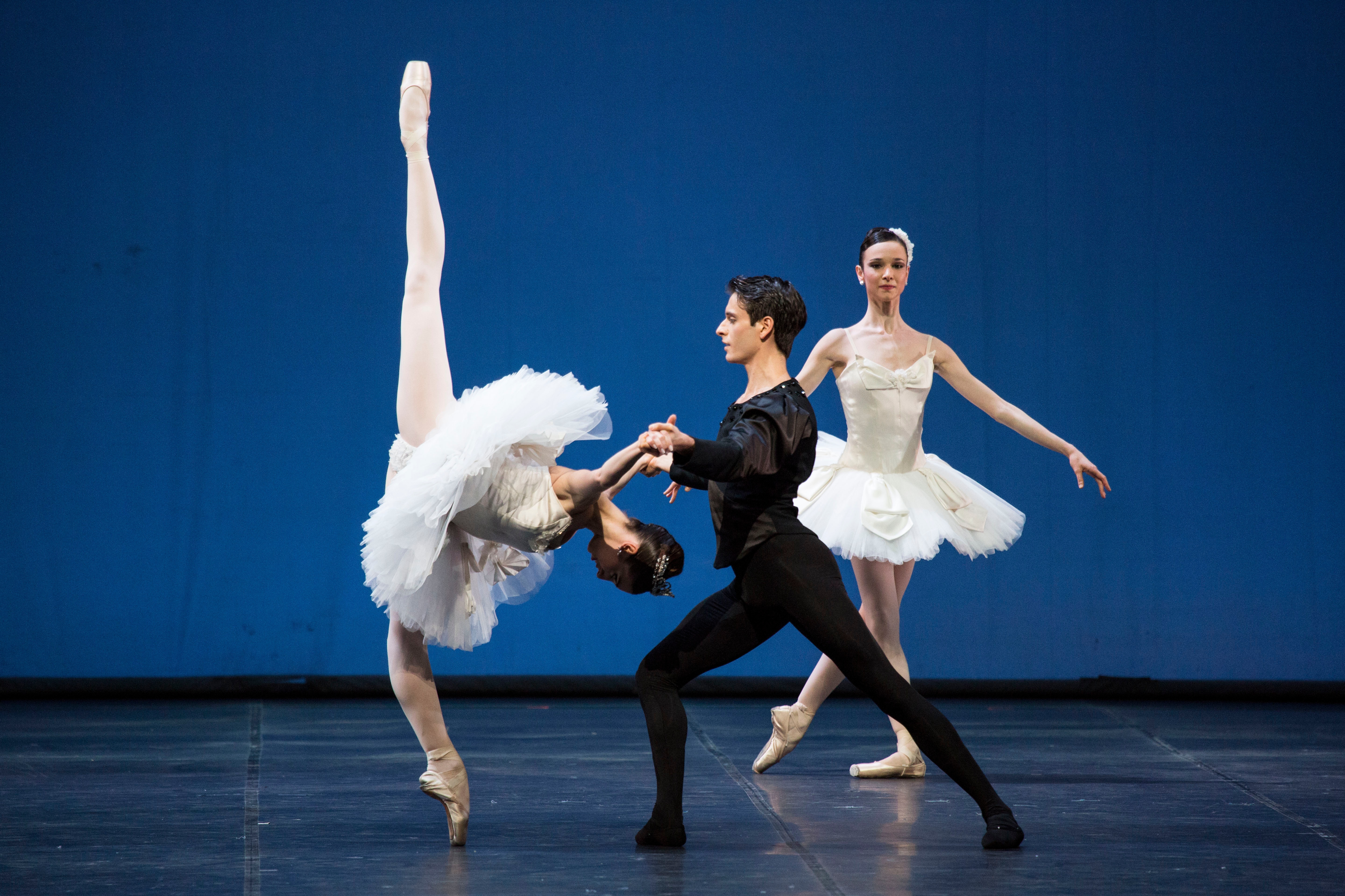 -Symphony in C- .jpg