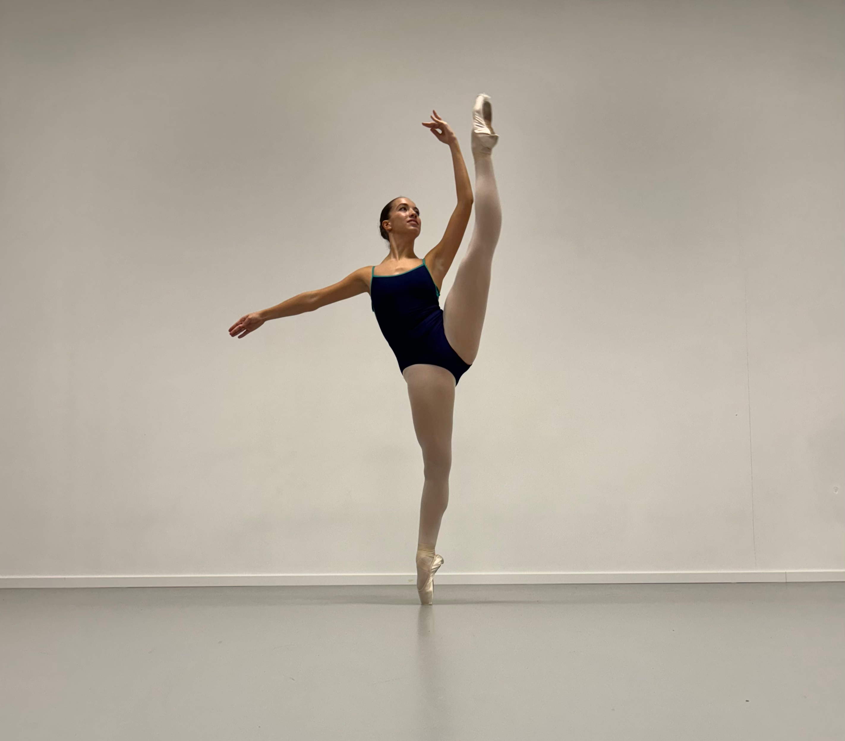 developpe ecarte 3.HEIC