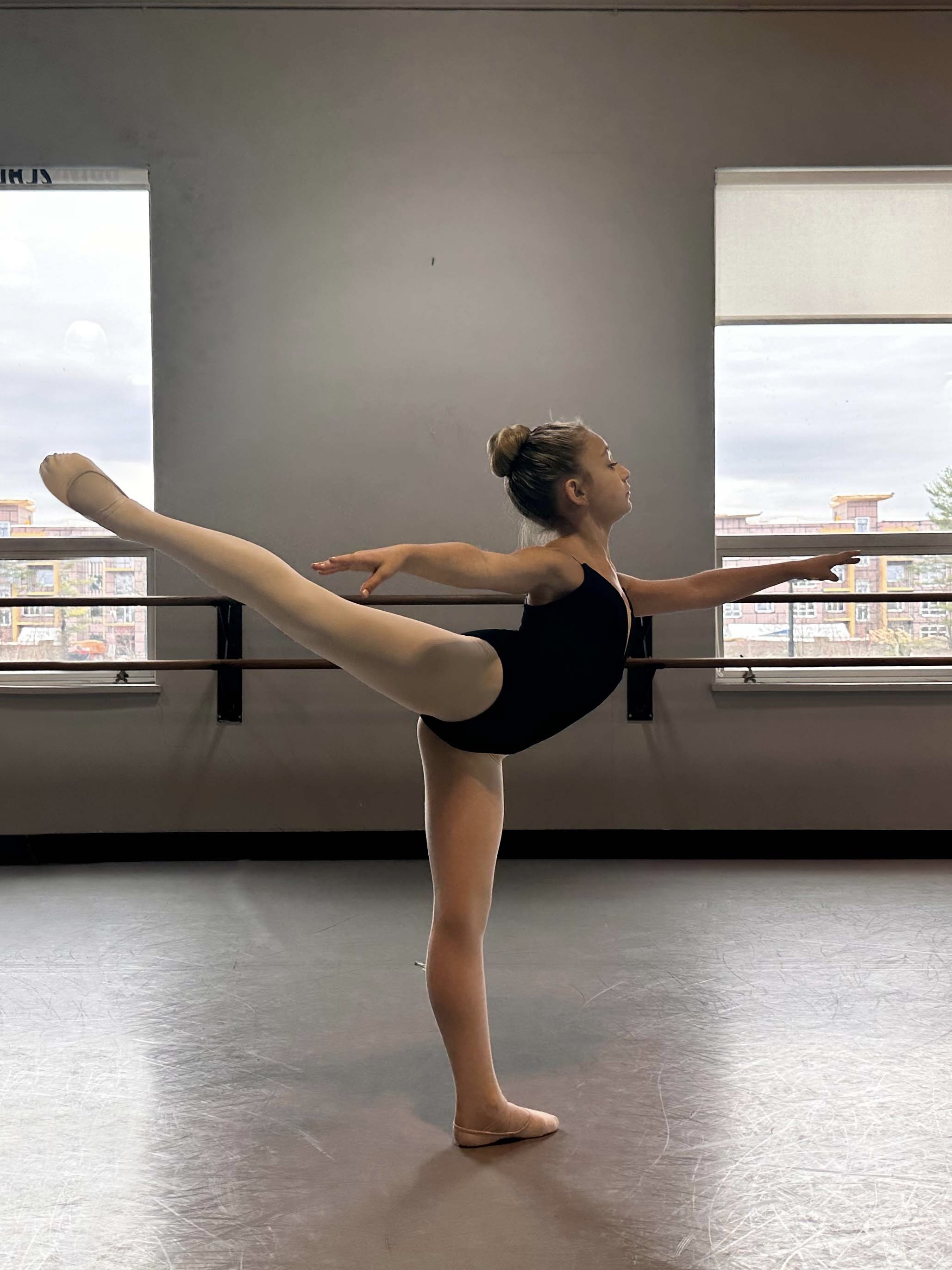 Arianaarabesque 2 copy.jpg