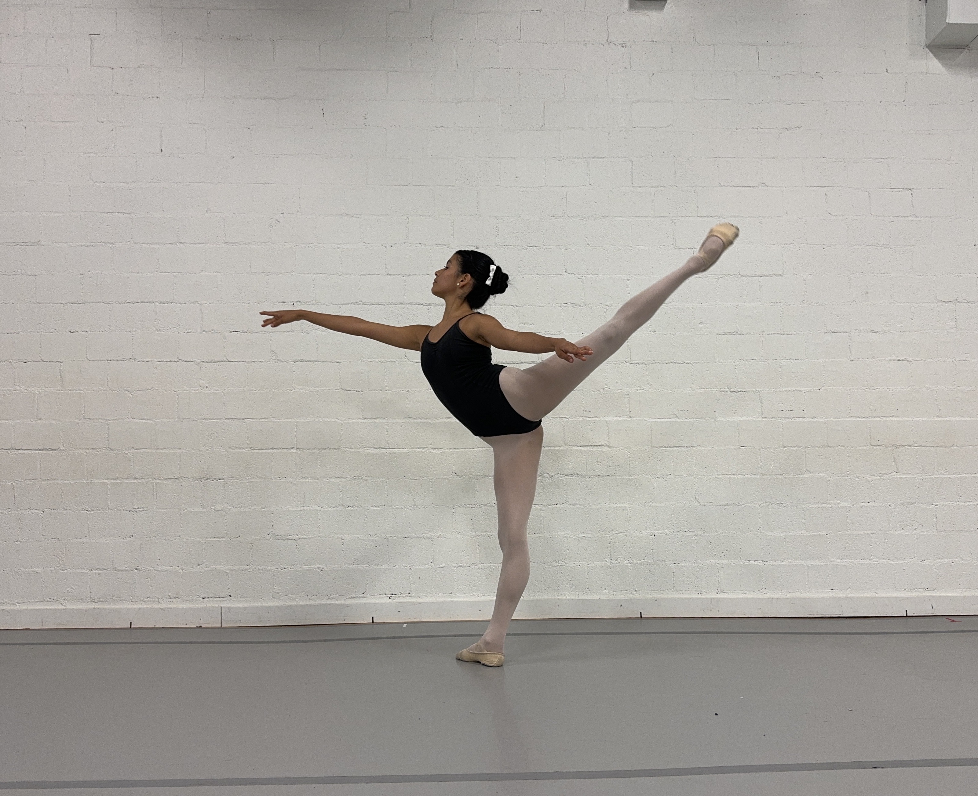 Samara Garcia Arango position 3.JPG