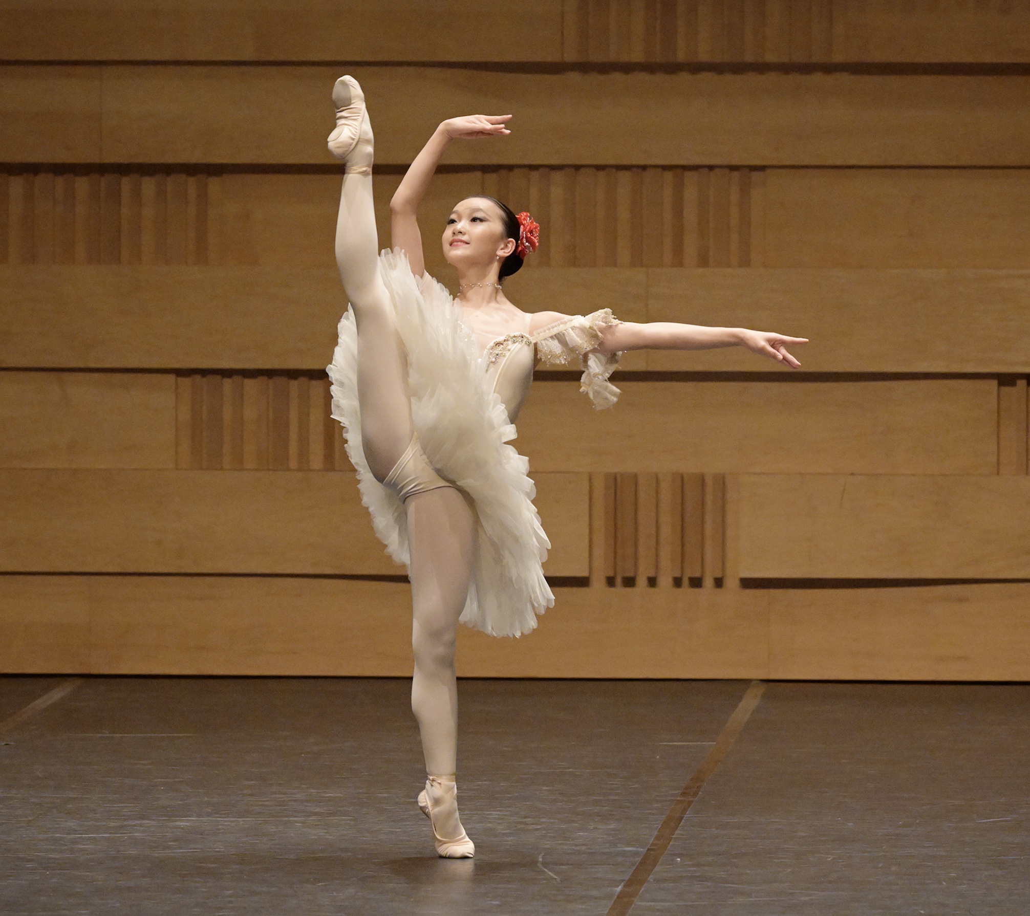 Image 22-8-2024 at 3.57 PM.jpeg