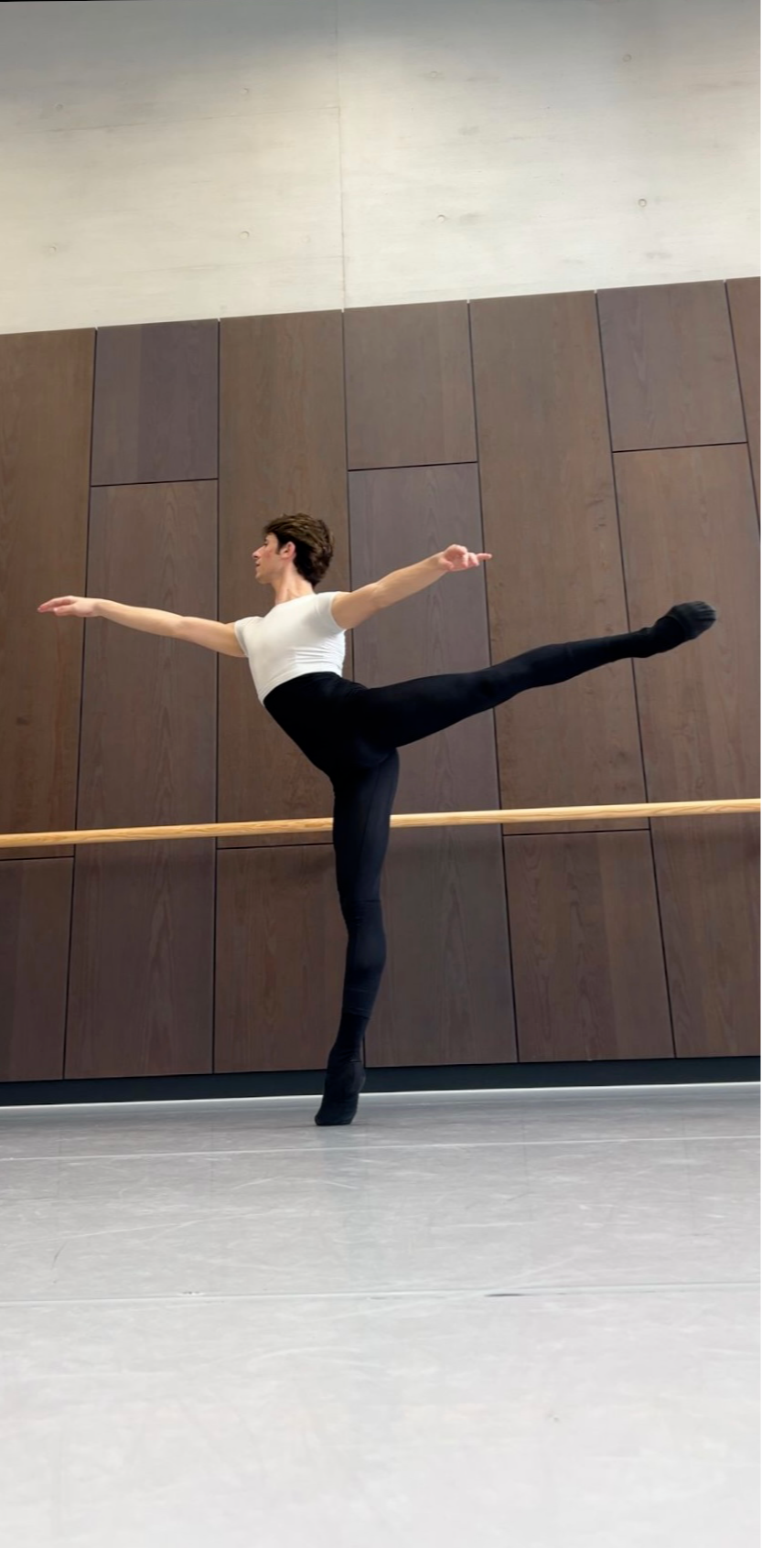 TROSO Tommaso - Provide an arabesque photo.png