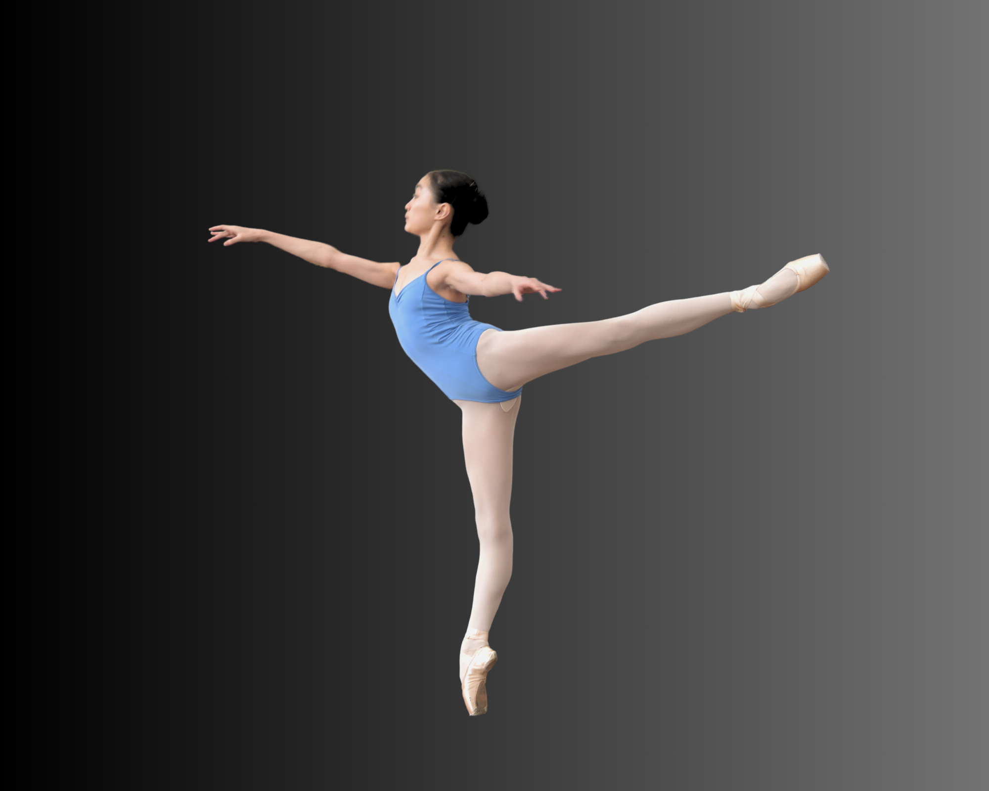 Sydney_arabesque (2) (1).png