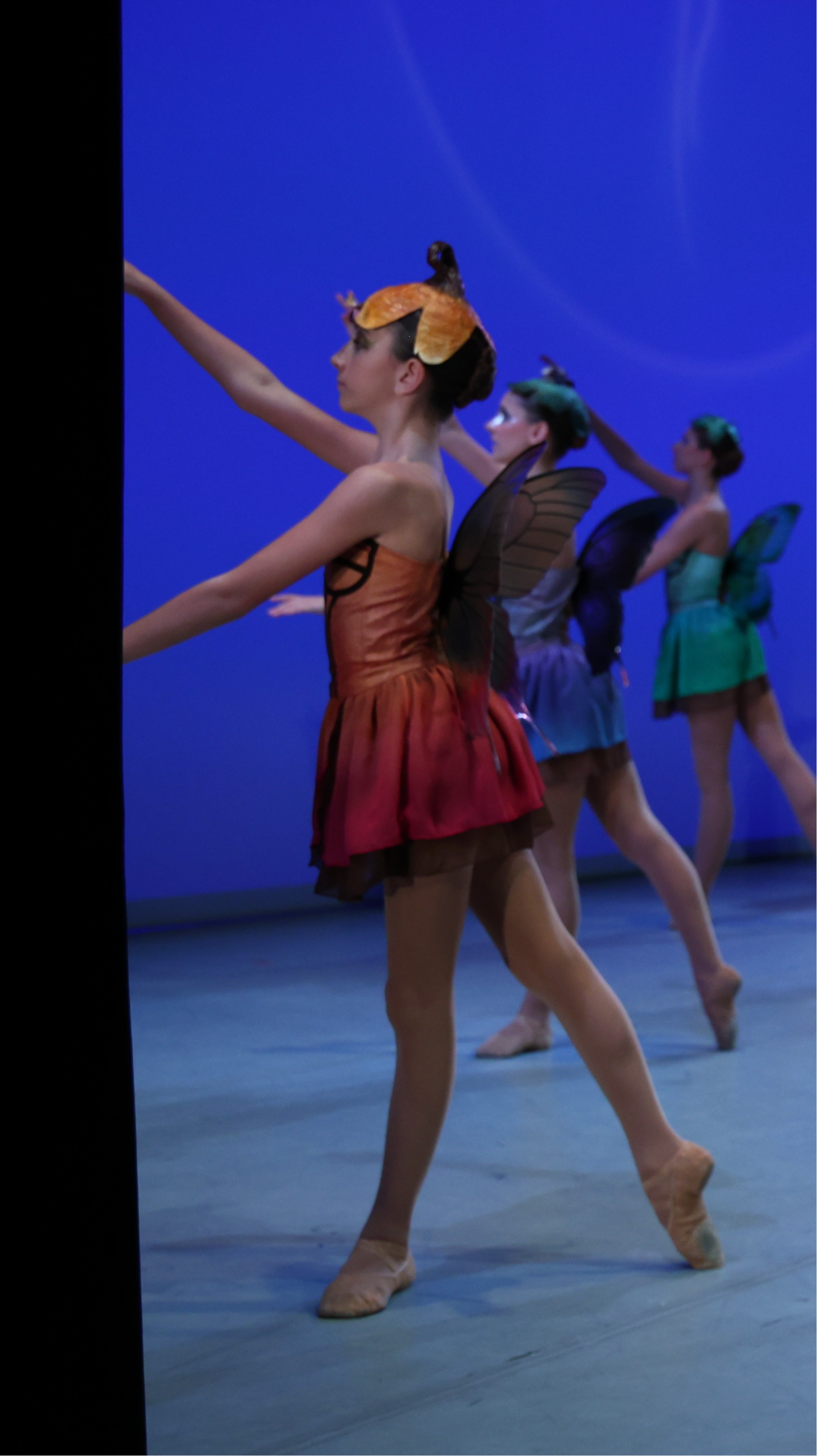 1008MidsummerNightsDreamENSSS5408 - Copy.JPG