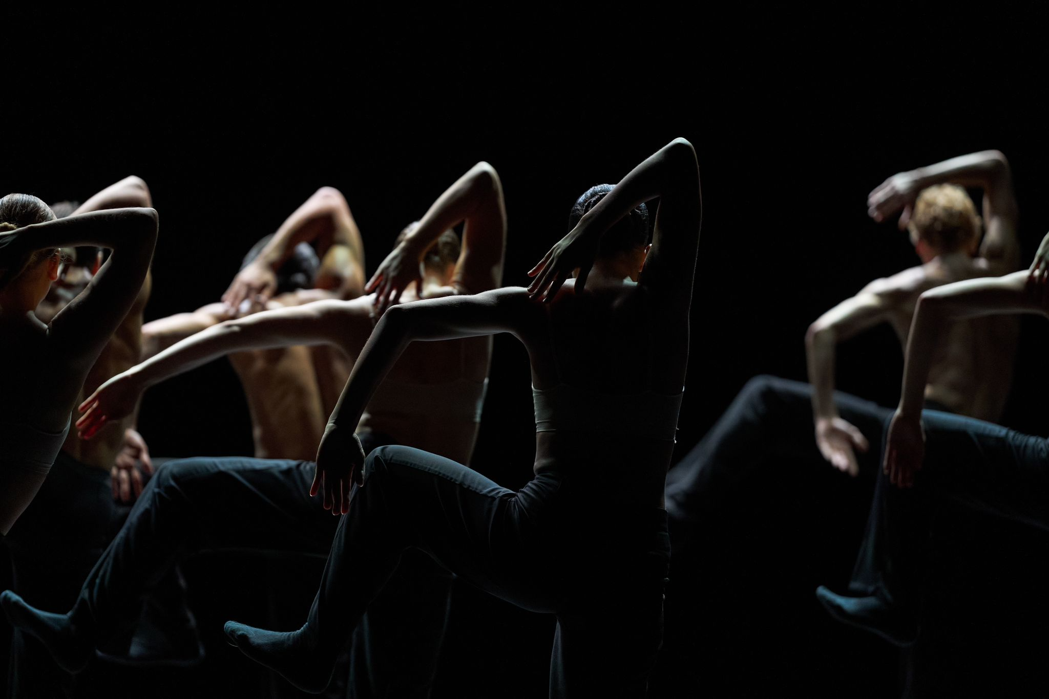 WhatsApp Image 2025-01-03 at 15.23.30 (3).jpeg