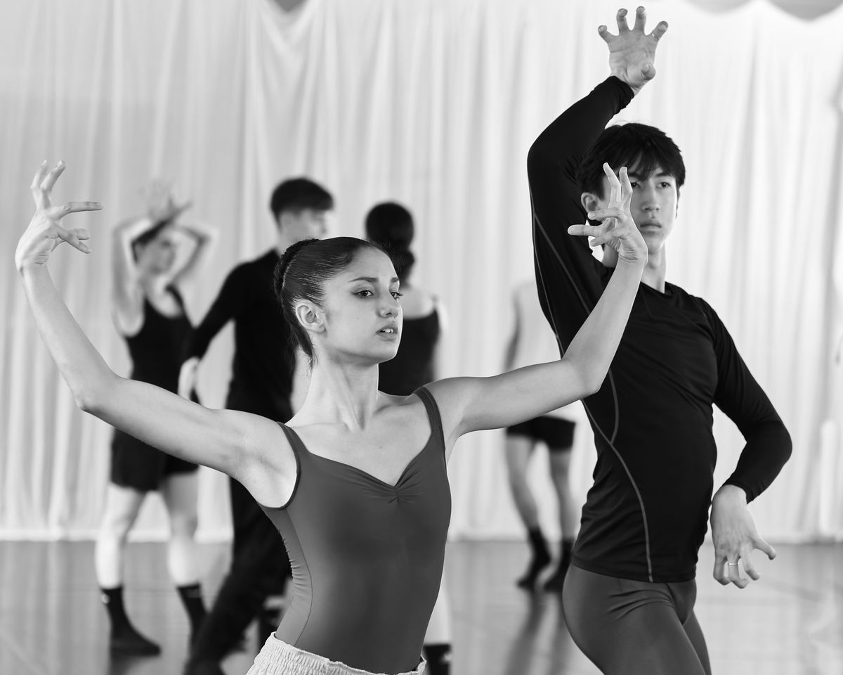 WhatsApp Image 2025-01-03 at 15.23.30.jpeg