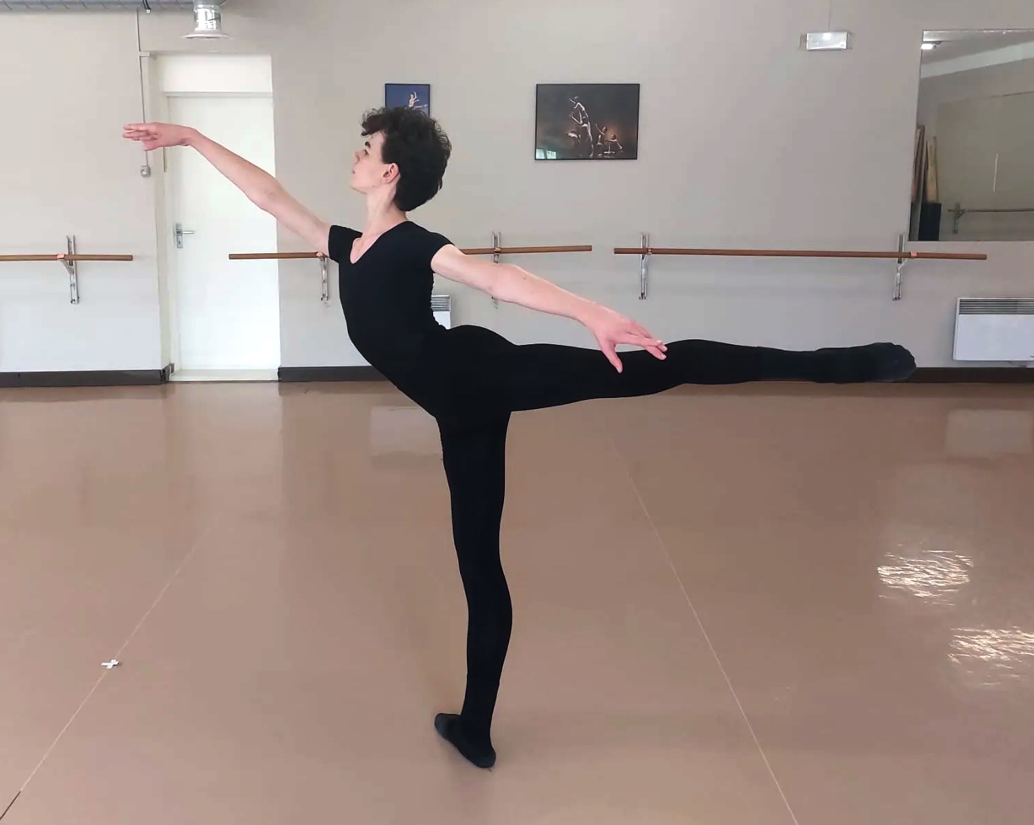 FEUILLET Vaitea - Provide an arabesque photo - copie.jpg