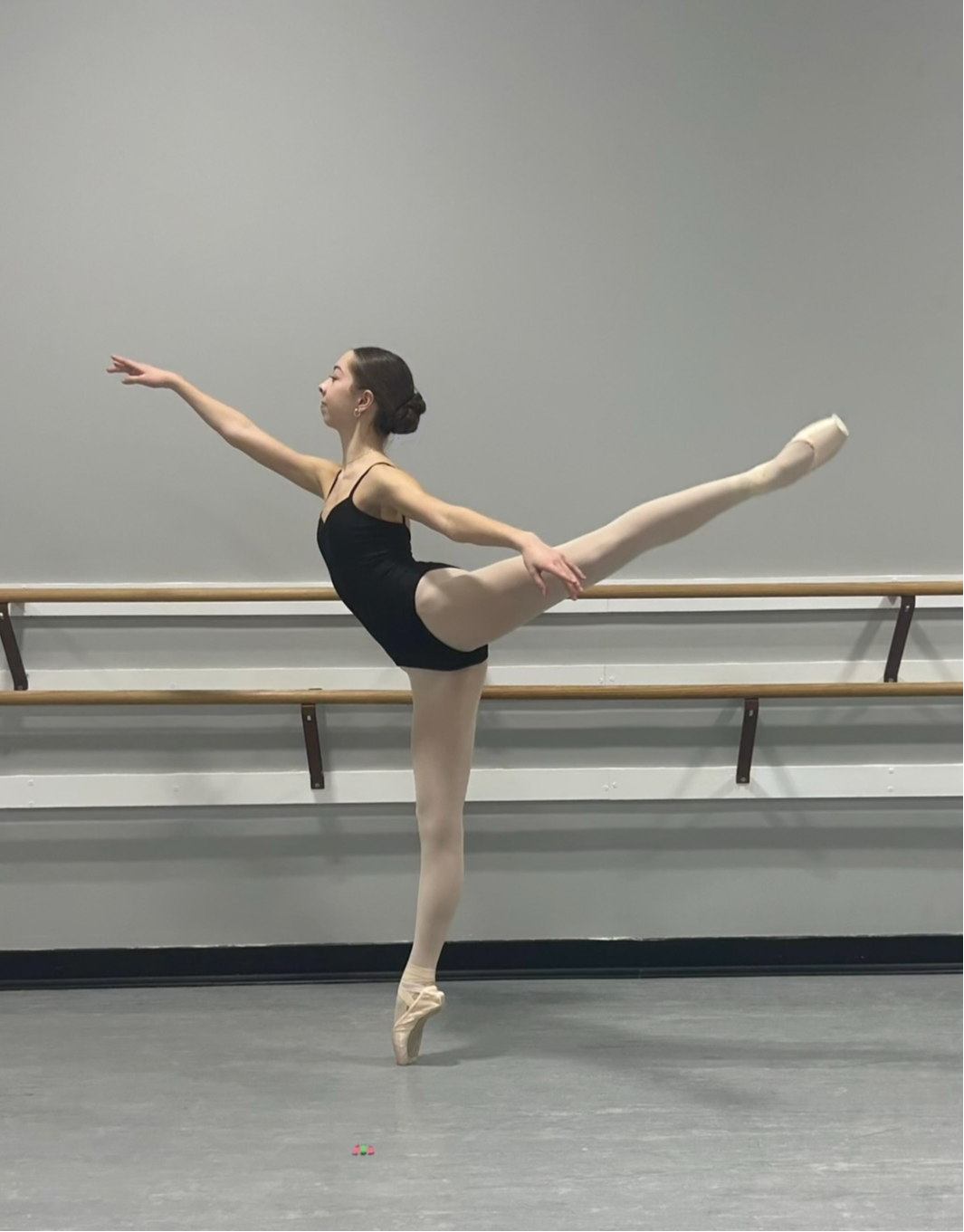 Annabelle Kozsuch Arabesque use this.jpeg