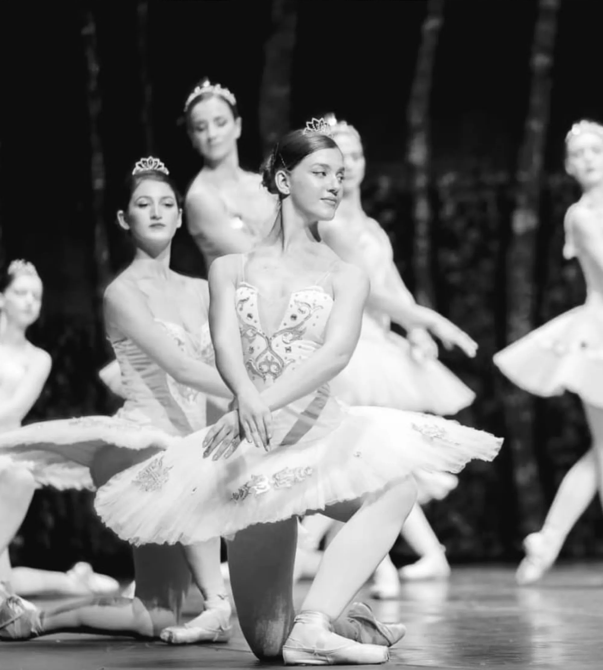 download - copie.jpg