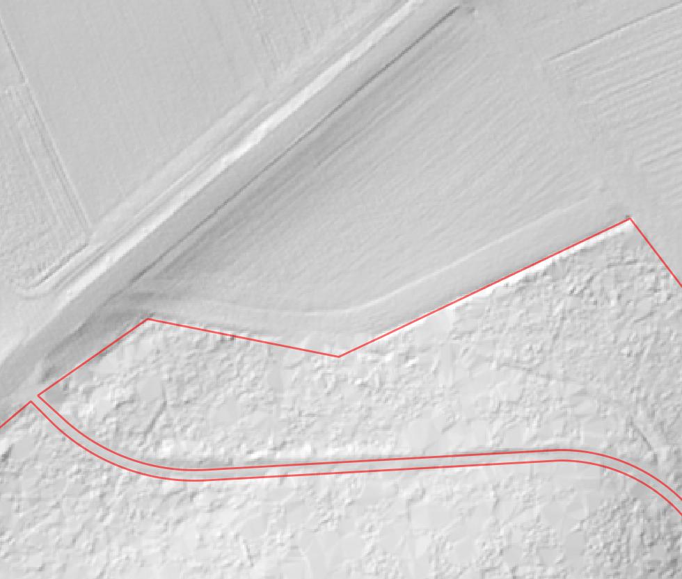 _images/Wald2_Lidar.jpg
