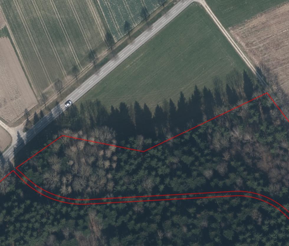 _images/Wald2_Ortho.jpg