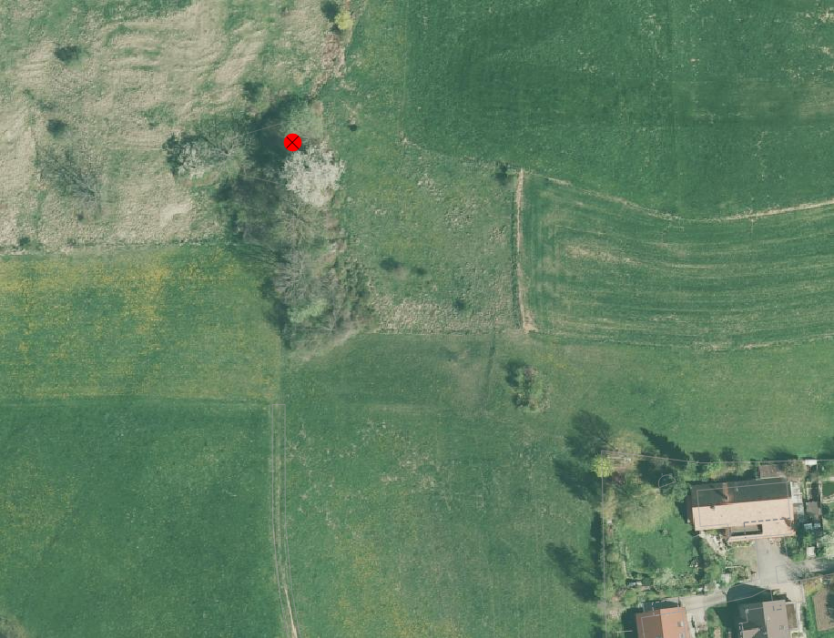 _images/bestockte_Flaeche_Hecke_fehlt.png