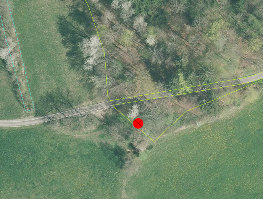 _images/bestockte_Flaeche_geschlossener_Wald_Lagedifferenz_RGB.png