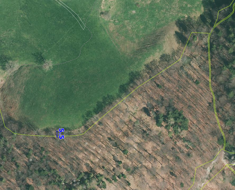 _images/bestockte_Flaeche_geschlossener_Wald_Lagedifferenz_iO_2.png