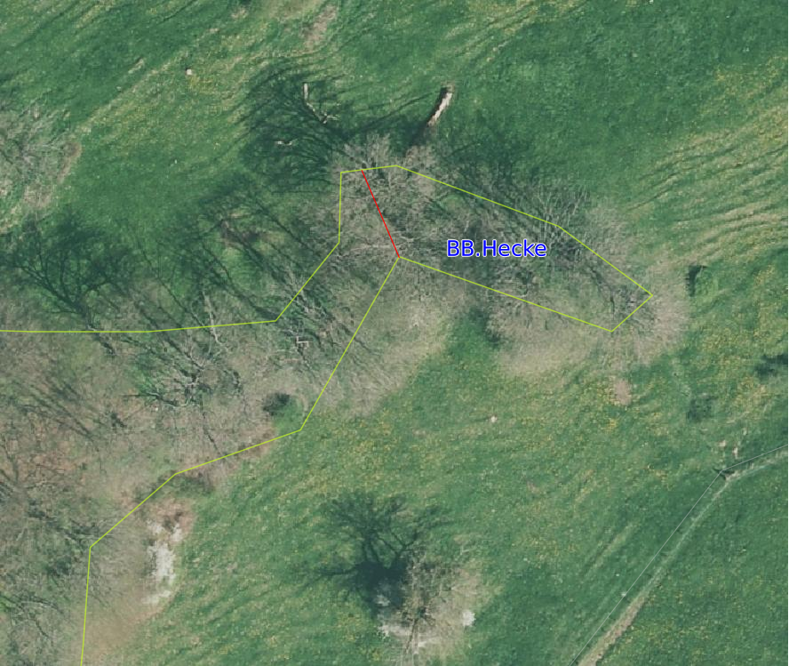 _images/bestockte_Flaeche_geschlossener_Wald_umattribuieren_korr_2.png