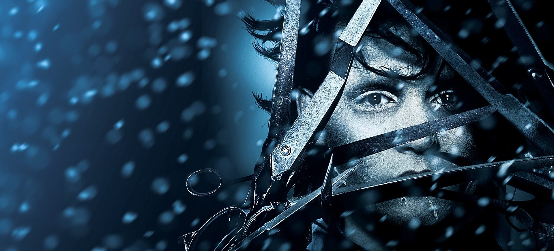 Edvardas Žirkliarankis filmo online nuotraukos