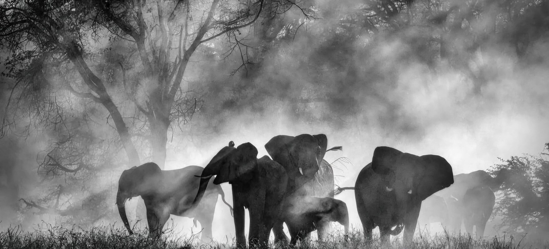 Kp26: Drambliai Vaiduokliai filmo online nuotraukos