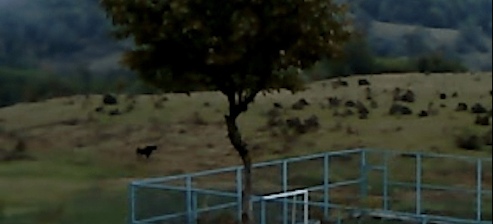 Kp26: Sausas Lapas filmo online nuotraukos