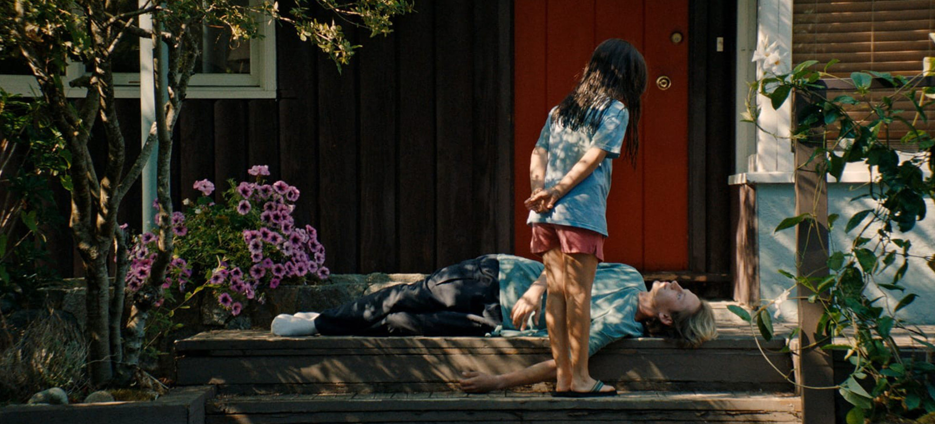 Kp26: Pilkasis Garnys filmo online nuotraukos