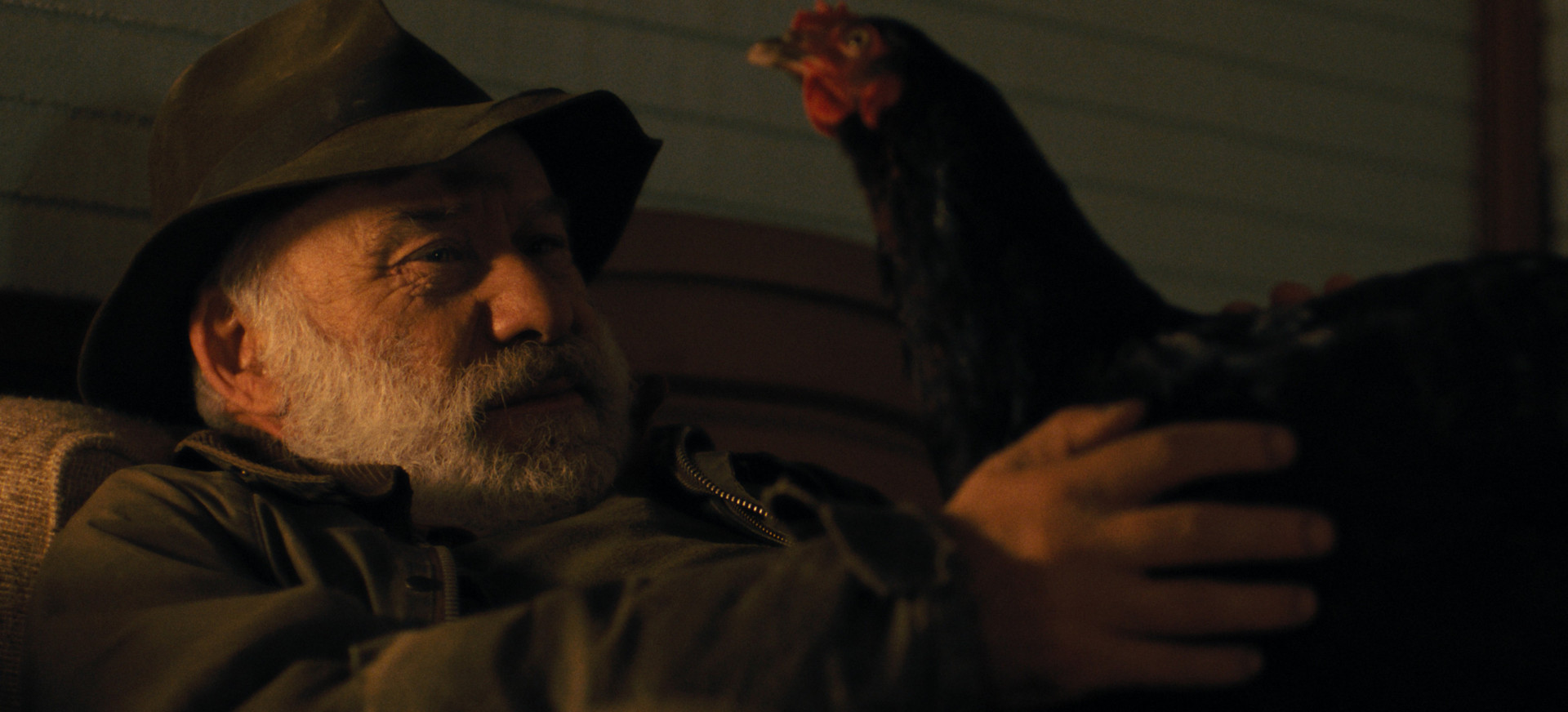 Vištelė filmo online nuotraukos