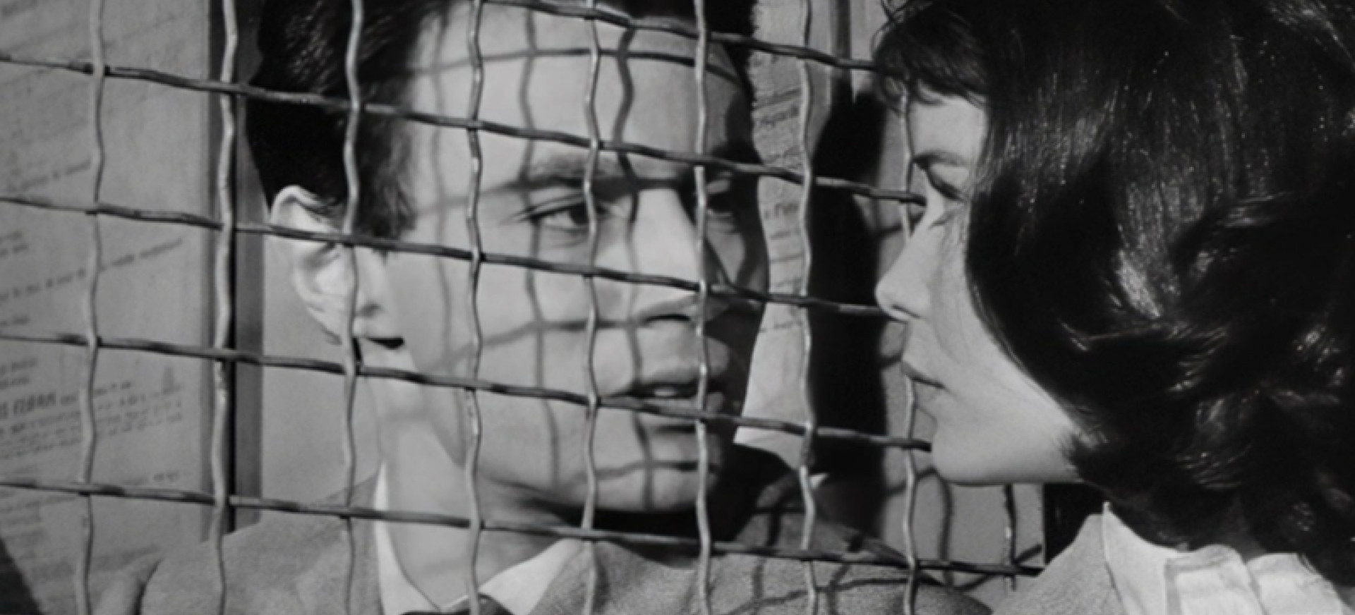 Santuokos Anatomija: Fransuazė